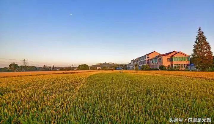 无锡正在消失的古村,无锡的真实村庄