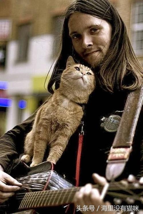 关爱流浪动物的视频,请关爱身边的流浪小动物