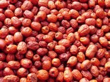 沧州市丰尔庄园概况,沧州市自然概况