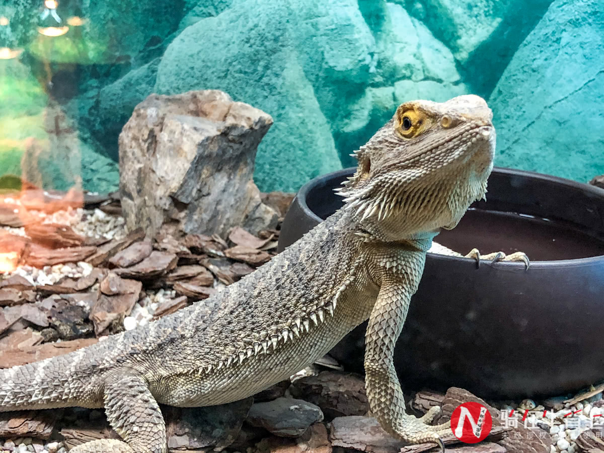 浙江性价比最高的海洋馆,高德免费预约台州海洋馆门票