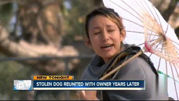 狗狗失踪2年重聚完整版,狗狗失踪两天还找得回来吗