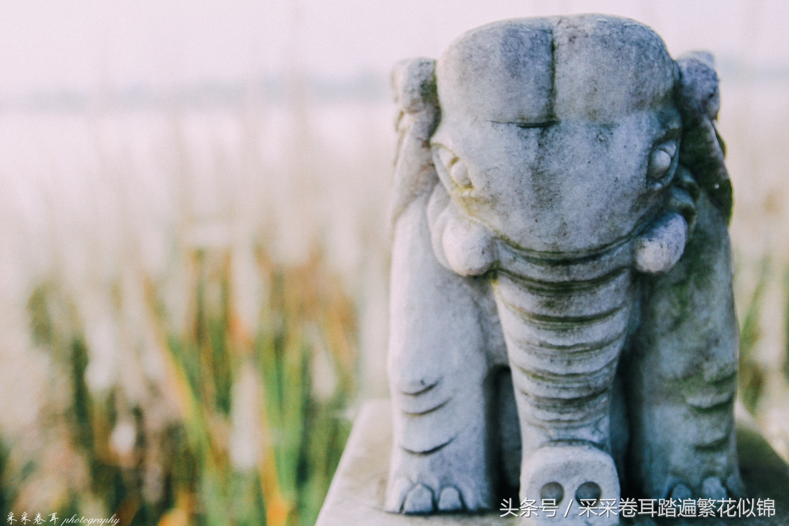 瑞丽最值得去的地方,瑞丽网红打卡地弄莫湖