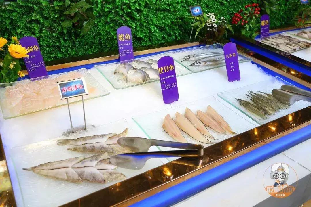 石家庄好吃的日式铁板烧,石家庄好吃的特色铁板烧