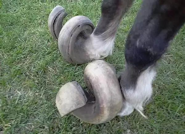 宋朝那么厉害为什么还会被打掉,宋朝历史真的很强吗