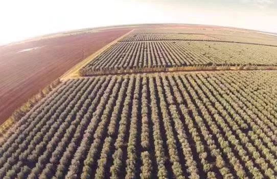 澳洲小红管万能膏,澳洲最好的万能膏