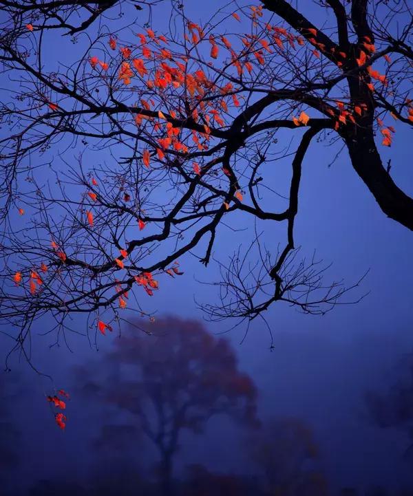 大悟,一个和婺源相媲美的地方,等了一整年的最红秋色终于来了!