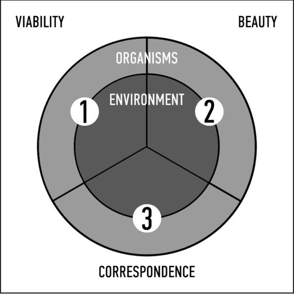长城杯溪流造景大赛,长城杯造景大赛