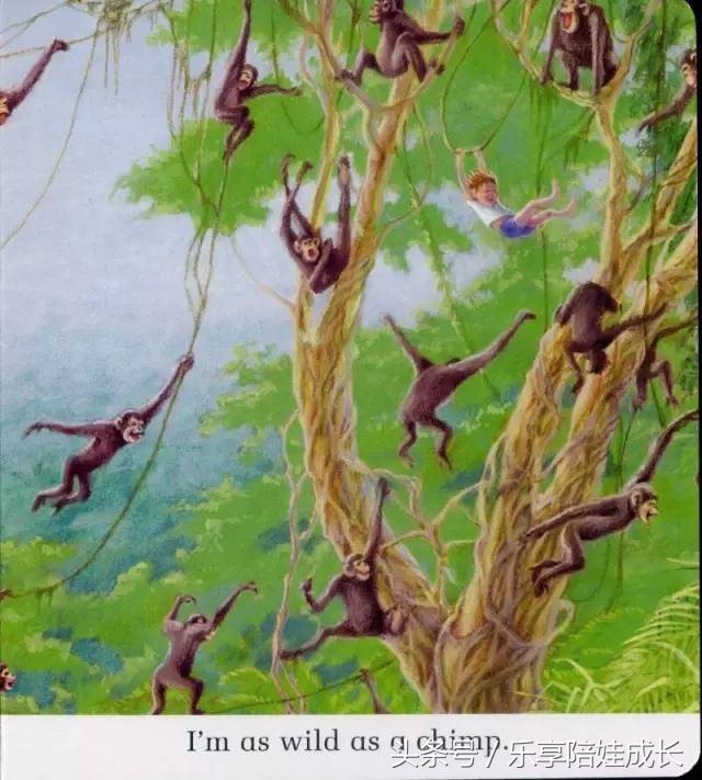 quickasacricket翻译,绘本磨耳朵故事视频