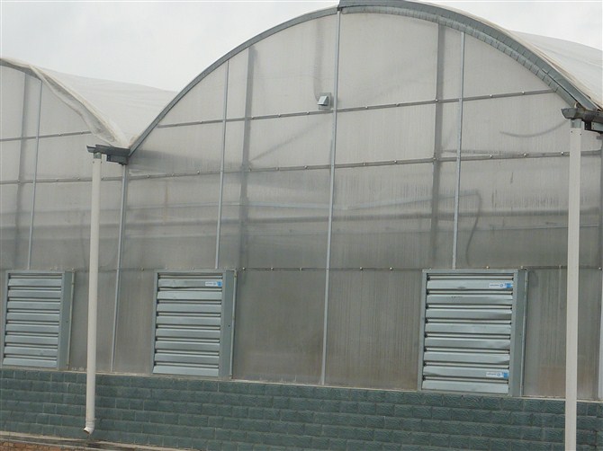 建个二十亩温室大棚要多少钱,建一个普通的温室大棚需要多少钱