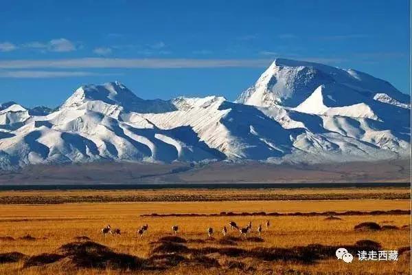 离拉萨最近的阿里,阿里是离天堂最近的地方