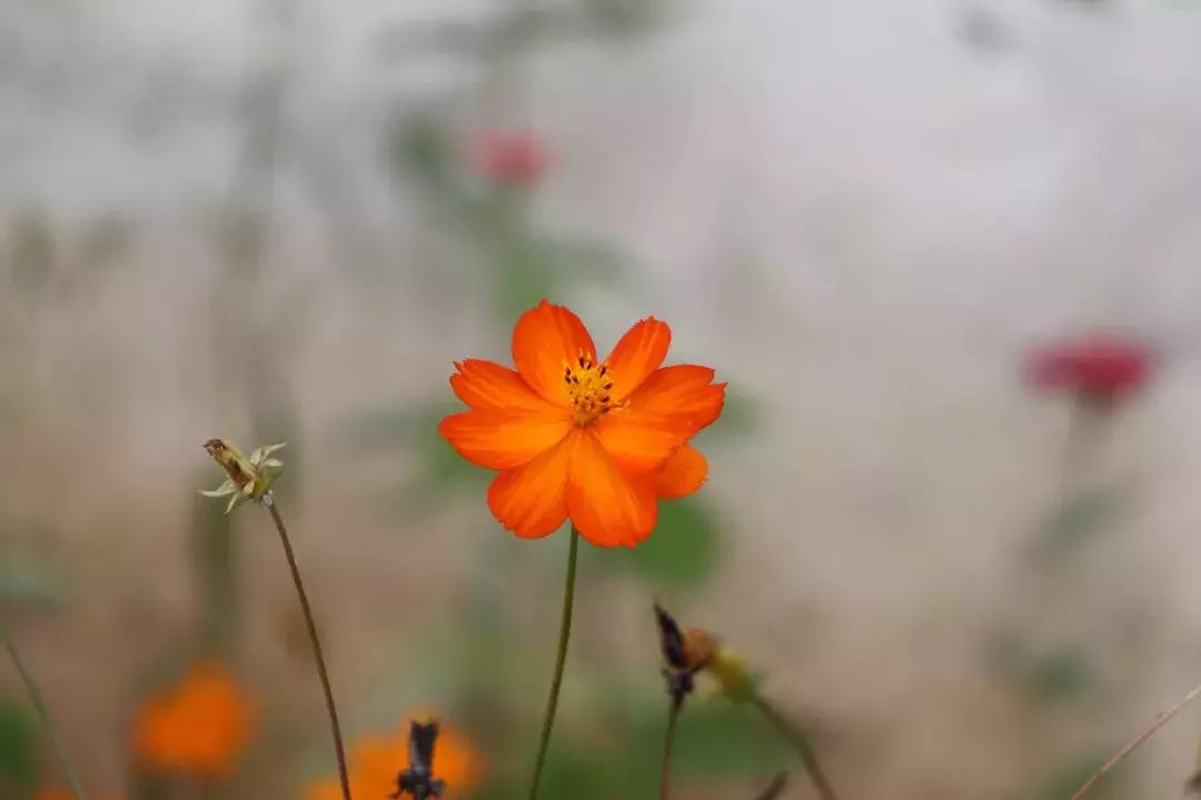 当你一无所有的时候才幡然悔悟,写给自己一无所有的句子