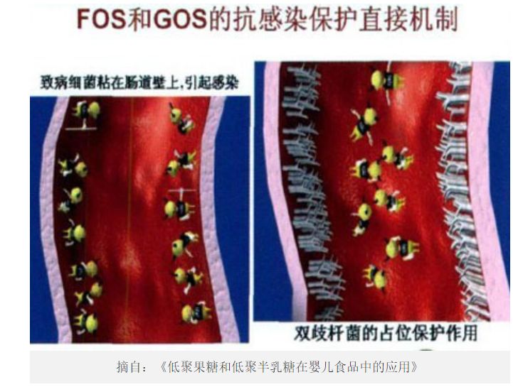 为宝宝选奶粉,为孩子挑选一款合适的奶粉