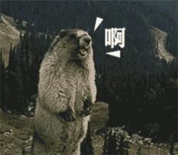 ysl橙红番茄色23号断货王,ysl1966七夕限定断货