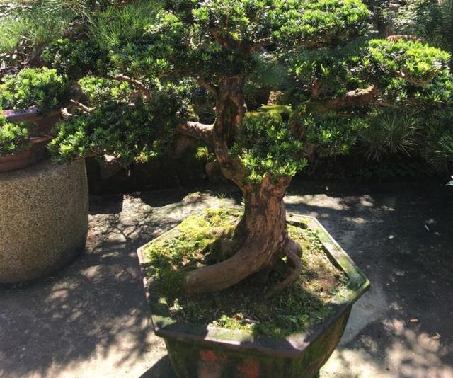 中国不为人知的海边渔村,中国一个渔村