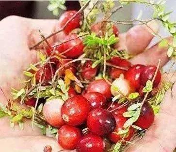 人最容易得的几大癌症,最易得的十种癌症