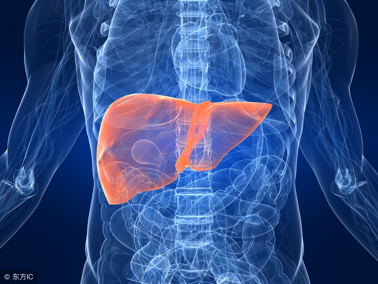 史上最强抗乙肝病毒药替诺福韦,乙肝用药富马酸替诺福韦降价通知