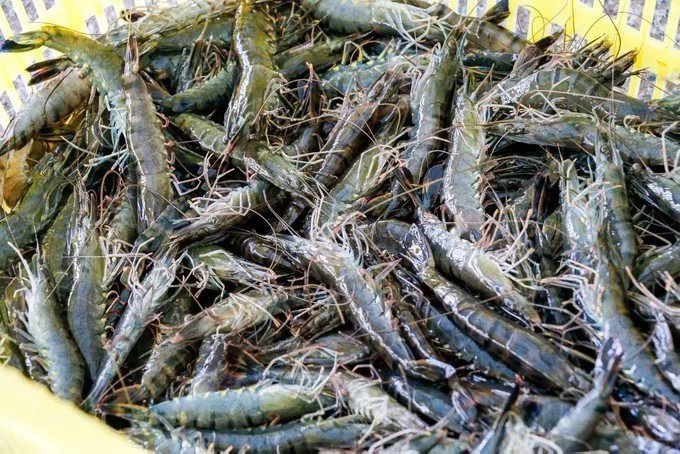 海口的特色美食有哪些,海口有哪些特色美食