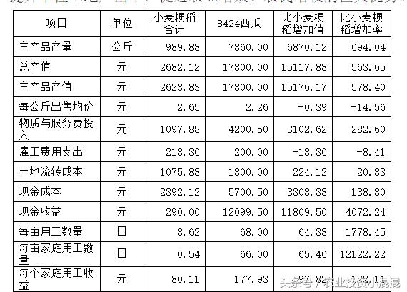 启东大棚种植西瓜一亩成本多少,农业总产值的计算公式