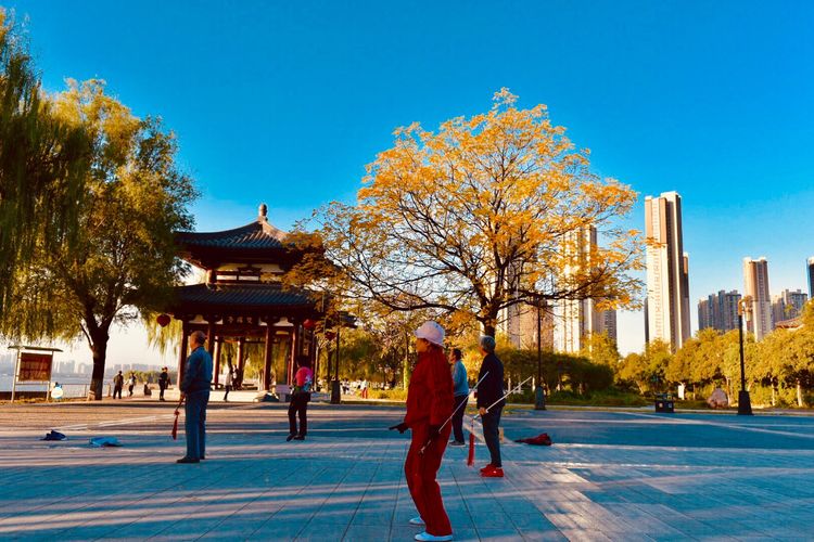 秋到上阳宫，黄叶蓝天高宫阙，皇帝都赞的美景，免费你都没去看？