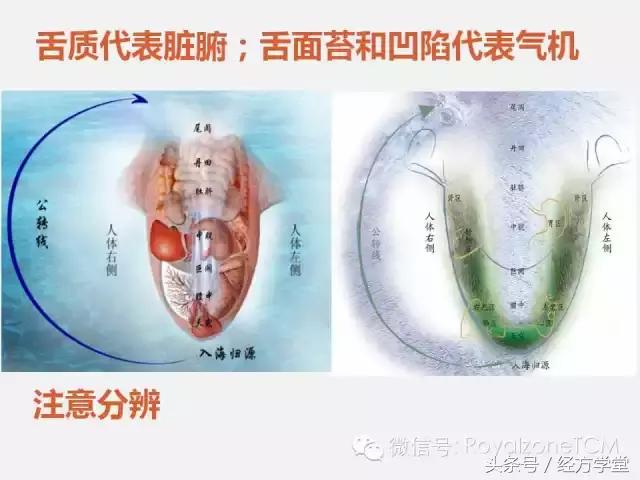 经方派舌诊,经典名方舌诊课