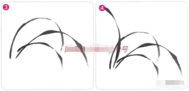 写意兰花的基本画法视频,写意兰花的画法技法视频