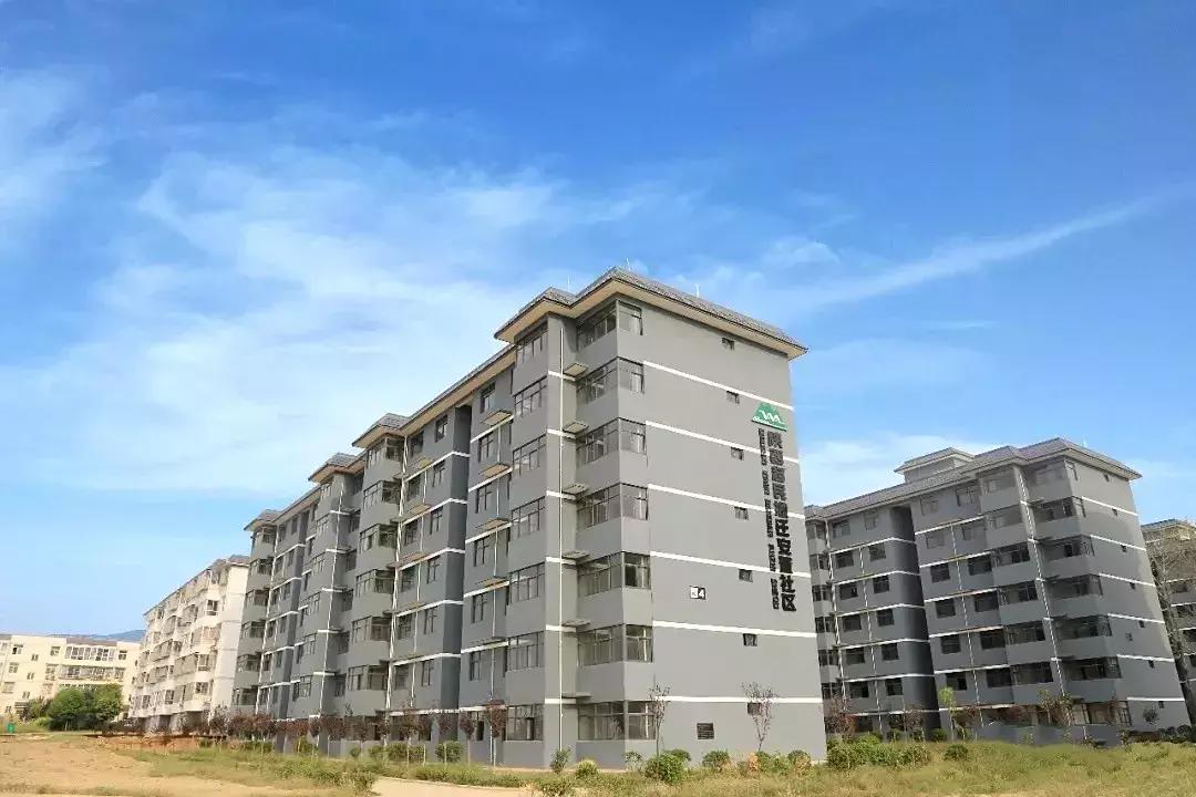 这个季节韩城的花椒是最美的风景,韩城冬季好玩的免费景点