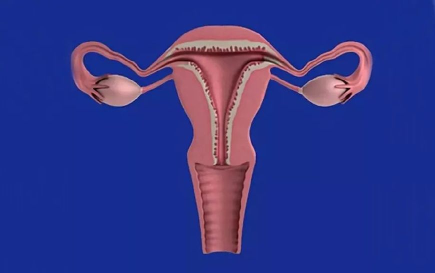 尿频容易得什么病,尿频便秘是什么意思