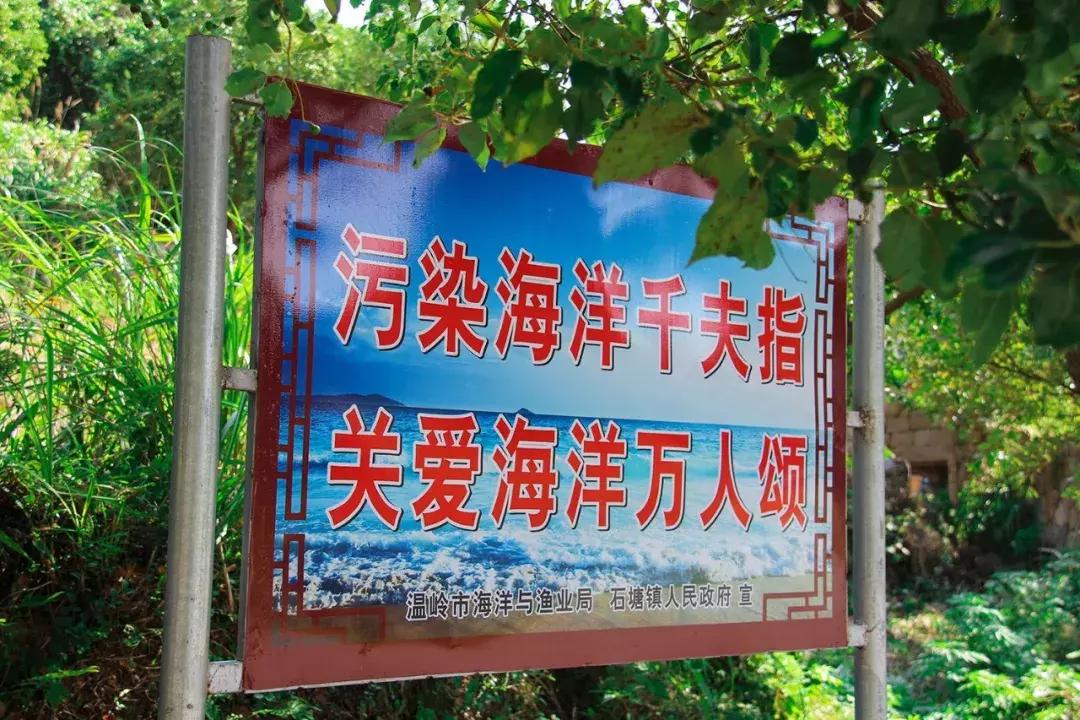 娴欐睙鍙板窞瀹濊棌鐢峰,鍙板窞瀹濊棌鐢风敓