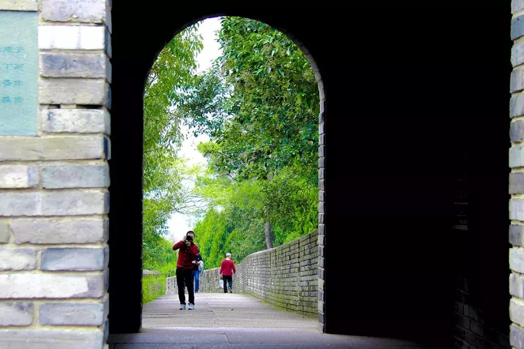 娴欐睙鍙板窞瀹濊棌鐢峰,鍙板窞瀹濊棌鐢风敓