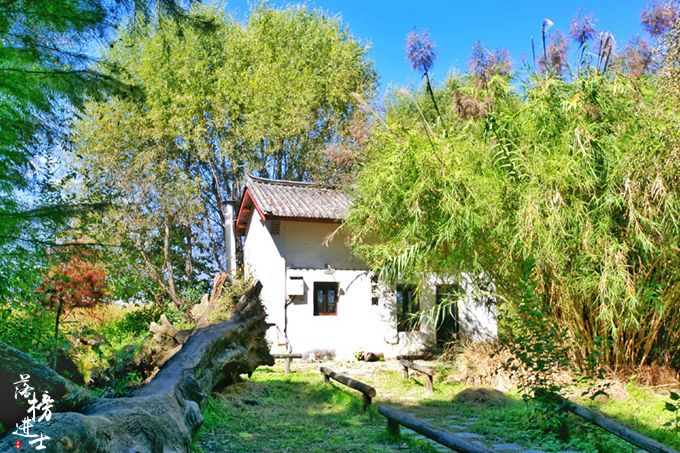 大理洱海海舌半岛需要门票吗,洱海最美半岛是尼格半岛吗