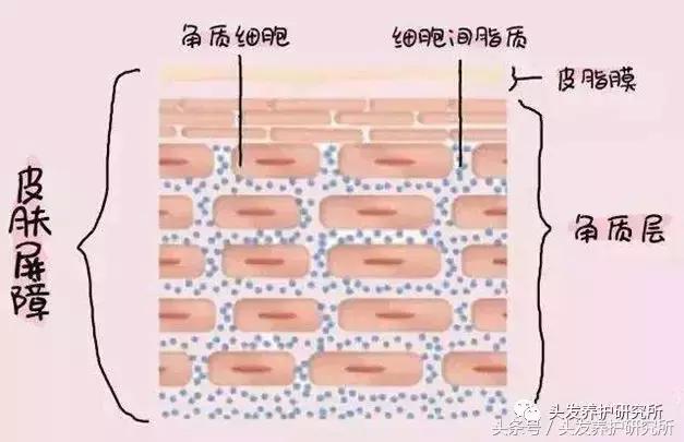 去头屑止痒最有效便宜的办法,去头屑去真菌