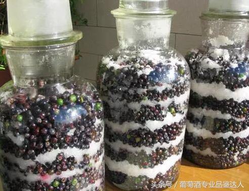 怎样自制葡萄酒酿出来的好喝,专业自酿葡萄酒的制作全过程