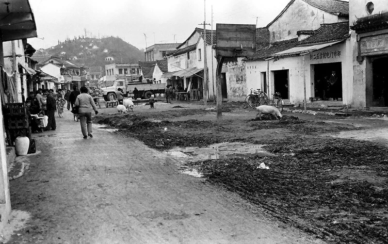 铜加工、制冷、汽配、水暖！五金星火，铸就中国店口样本！