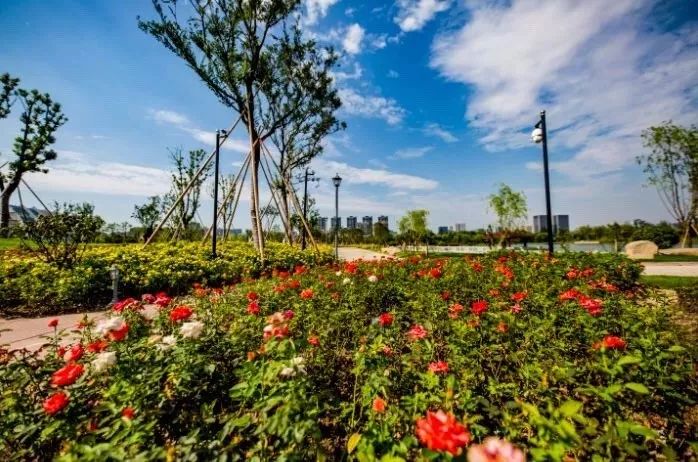 钱江新城后花园规划图,杭州钱江新城足球场