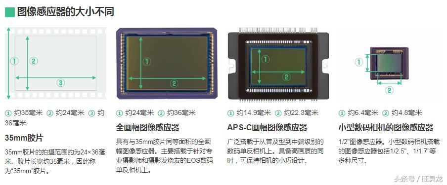 佳能eos最适合新手的单反相机,佳能eos相机哪个型号好