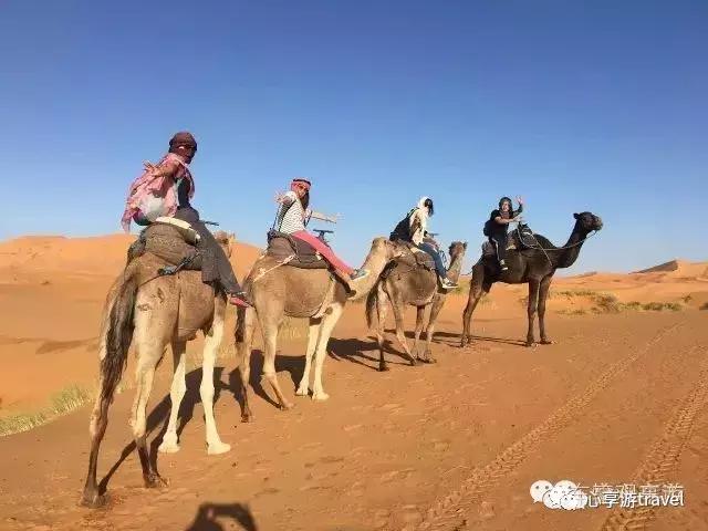 别黑马蜂窝了！摩洛哥地接亲诉“数据造假”真相！