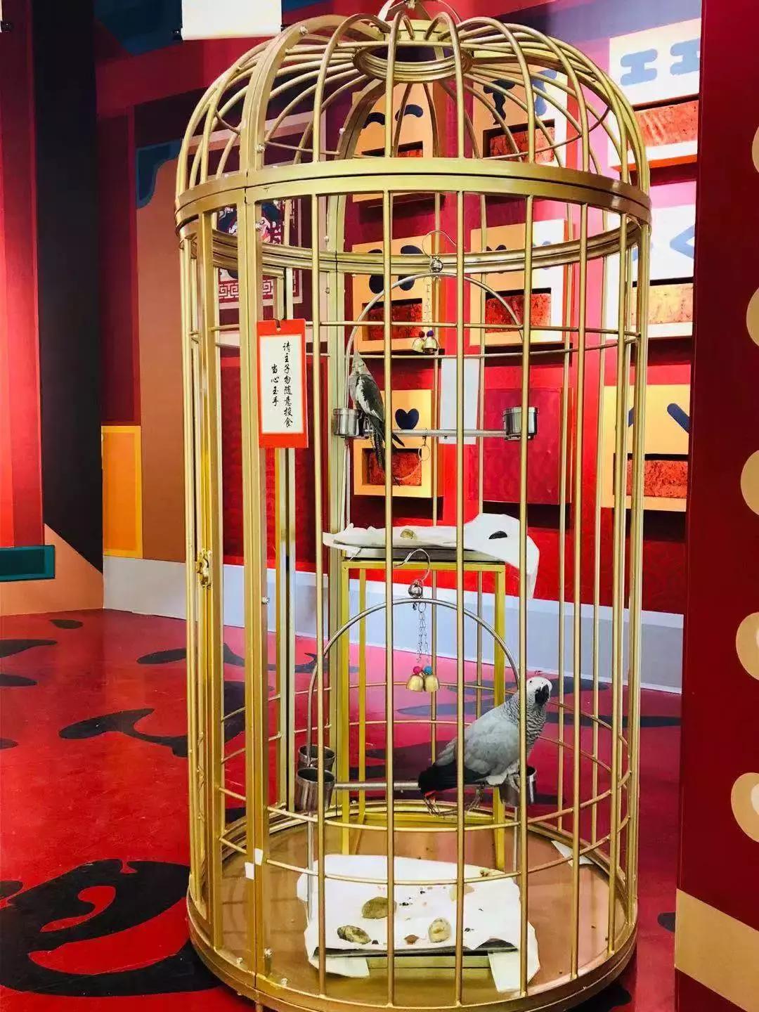 iphonexs900块,iphonexs699元