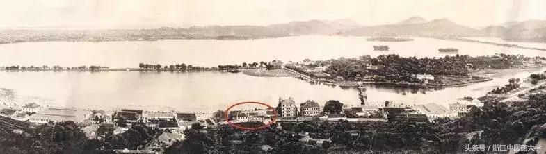 医者匠心图片,医者匠心中医