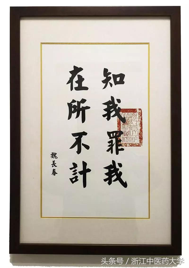 医者匠心图片,医者匠心中医