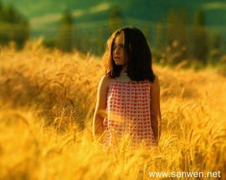 麦田里的守望者原创视频,麦田里的守望者创作的原声