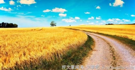 麦田里的守望者原创视频,麦田里的守望者创作的原声