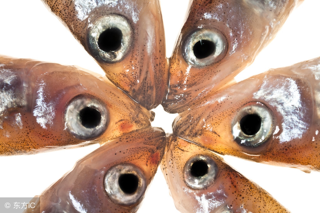 推荐天津特产有哪些,天津特色特产有哪些