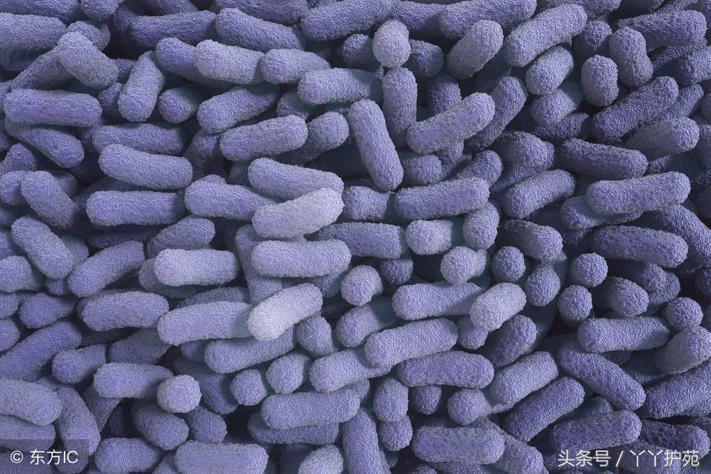 急性肠炎问诊要点及对症用药（含联合用药方案）