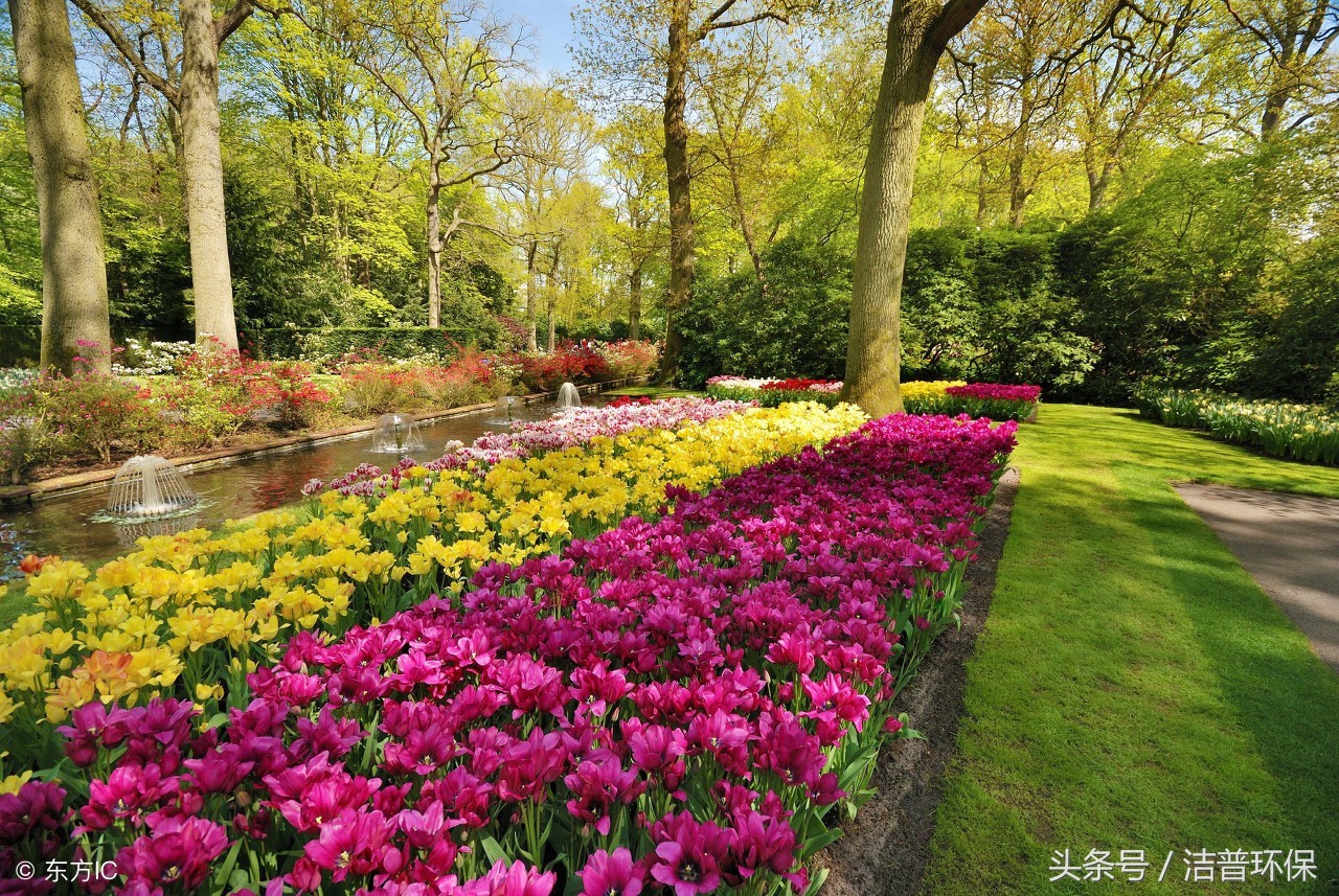 园林垃圾处理设备,园林垃圾变废为宝