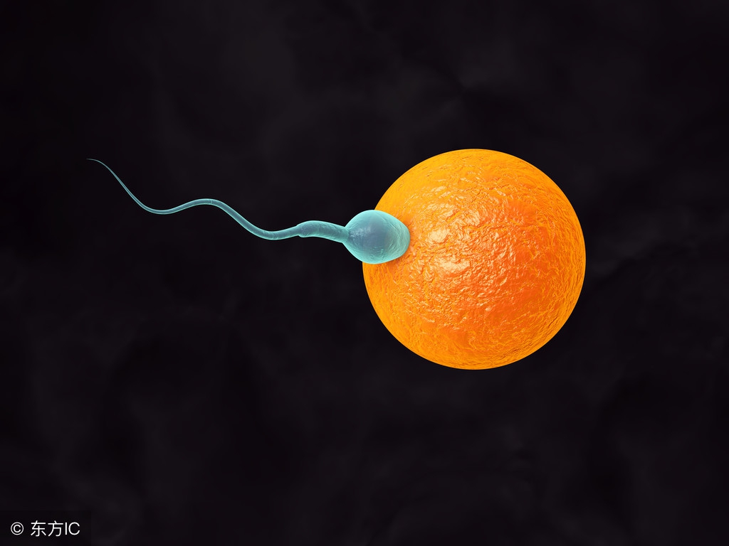 为什么有人怀孕几率大,为什么好多人怀孕了不能要