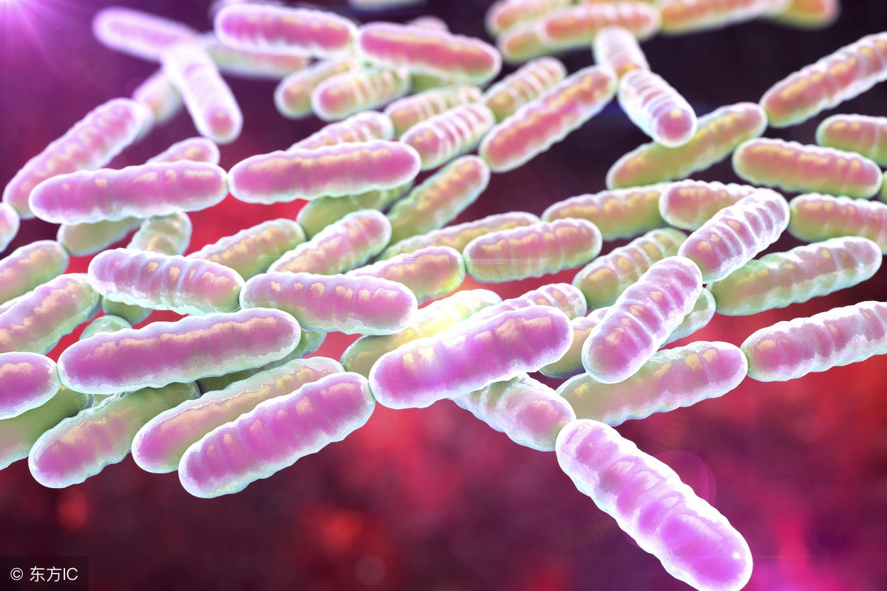 如果你经常饭后肚子涨且伴有腹泻，可能就是胃肠虚弱