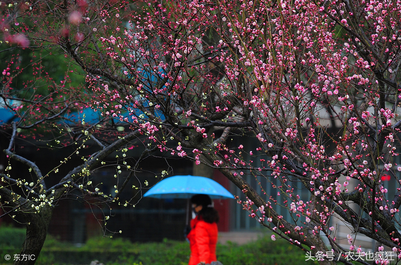 今年2025年什么时候立春,无春年什么时候立春