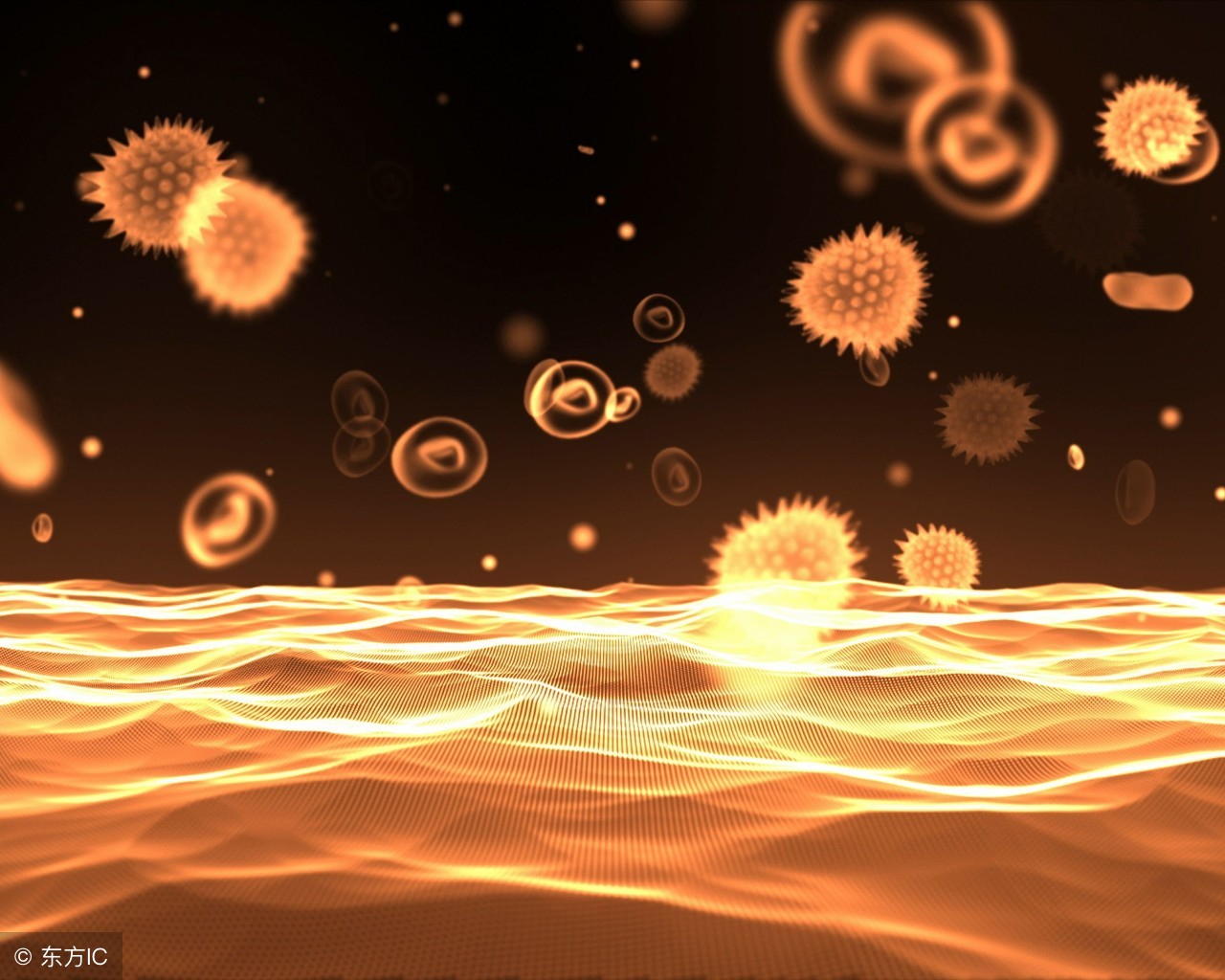 生物必修一分子与细胞考点归纳,高一生物组成细胞的分子教学视频