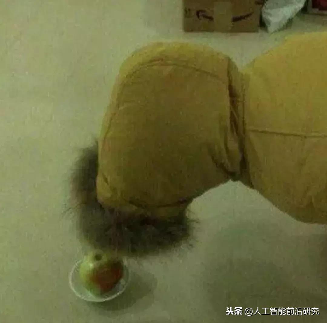 双11第一波买家秀曝光,双11过后网友第一批买家秀