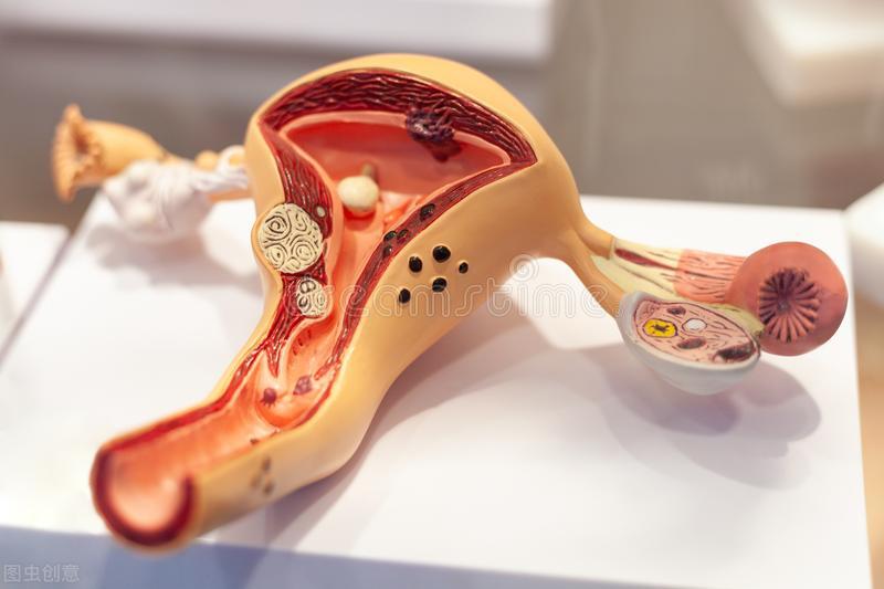 女人要保护好子宫吃什么好,女生必看如何避免子宫受损